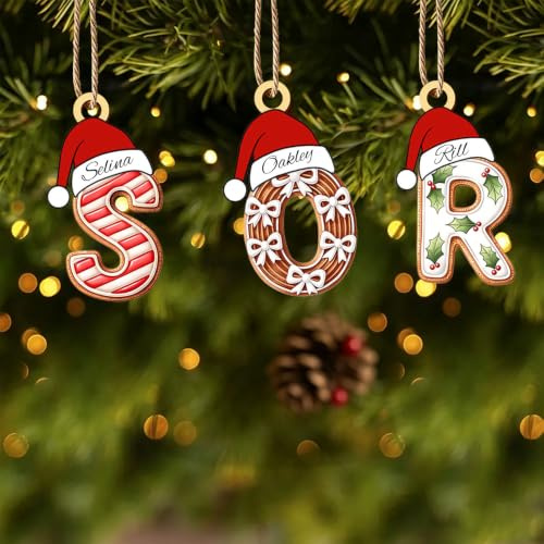 Ornamento personalizzato con nome della famiglia, cartello in legno personalizzato con cappello di Babbo Natale, decorazione da appendere all'albero di Natale con maglione e agrifoglio