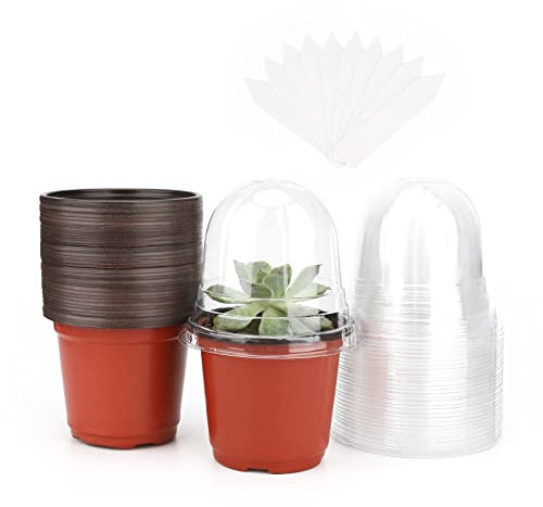 KINGLAKE 32 Pieces Petit Pot Plante semis Pot de Fleurs en Plastique Godets repiquage, Marron avec Couvercle Transparent et 10 étiquettes de Plantes en Plastique 10 x 2cm