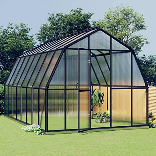 Tidyard Invernadero de Jardín con Estructura de Aluminio Invernaderos Huerto Invernadero Terraza Patio para Cultivo de Plantas Gris Antracita 12,63 m²