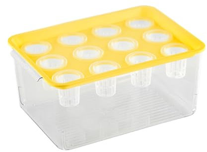 fxwtich Selbstbewässernder Hydrokultur-Pflanzgefäß, transparente Box mit 12 Löchern, Deckelgriff, rechteckiger Kunststoff-Blumenhalter für Sukkulenten, Desktop-Aquarium Gelb