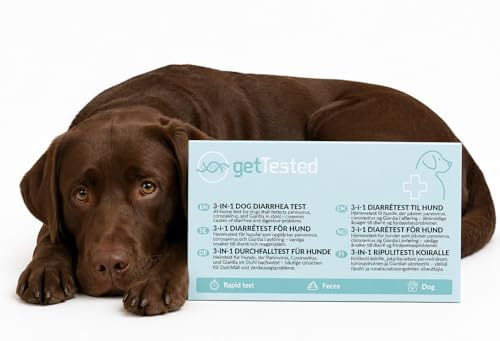 getTested Hund Durchfall Schnelltest 3-in-1 – CPV, CCV & Giardia Antigen – Einfacher Heimtest für Hunde – Schnelle Ergebnisse in Minuten