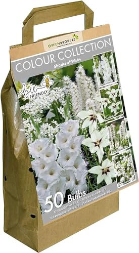 50 White Summer Flowering Bulbs Mixed Varieties | Bee & Butterfly Friendly | Eco Packaging | Premium Quality Dutch Bulbs | Plant Now Ready to Bloom in Summer