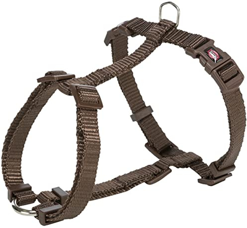 Premium Geschirr, L, Fenster, 60-87 cm/25 mm