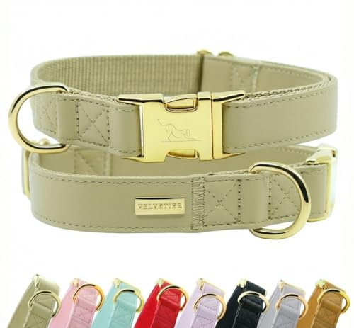 VELVETIER Hundehalsband Pistachio (Grün), veganes Leder, M/L 39-59 cm | Für mittlere und große Hunde, goldene Schnalle, veganes Leder, Australian Shepherd, Boxer