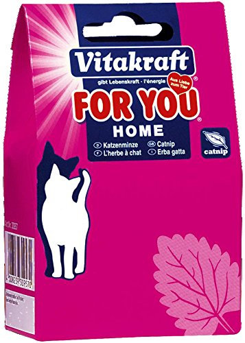Vitakraft - Scatola con Erba Gatto - 20 g