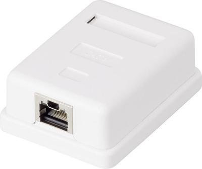 Renkforce 1 Port Netzwerkdose Aufputz CAT 6 KSV-ND10 Weiß RF-4473849