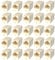rhinocables Cat5e RJ45 Coupler, Female to Female Ethernet Coupler and Joiner for Internet Cable Leads, Cat5 Ethernet Connector to Join Cables (25)