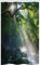 ABAKUHAUS Forêt Tropicale Rideau de Douche Stalle, Arbres Lumière du Soleil Jungle, Ensemble de Salle de Bain en Tissu en Crochets, 120 x 180 cm, Gris Vert