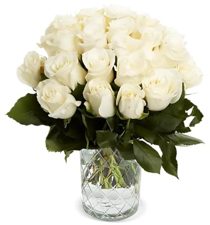 Blume Ideal Rosenstrauß | 20 Weiße Rosen | Ø 40–50 cm | Echte Premium Rosen für Hochzeit & Deko | 7 Tage Frischegarantie | In verschiedenen Farben und Mengen