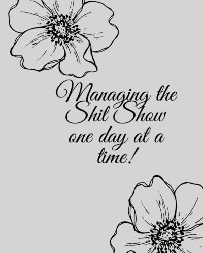 Managing the Shit Show One Day at a Time Notebook