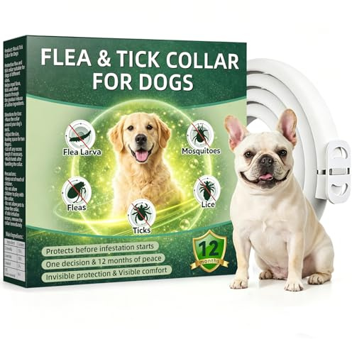 Collare Antiparassitario per Cani 65cm con Oli Essenziali di Citronella e Lavanda, Collare Antipulci Cane Naturale contro Pulci e Zecche, Adatto per Cani di Media e Grande Taglia