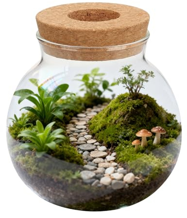 iplusmile Rundes Pflanzenterrarium aus Glas mit Korkdeckel für Hydroponische Pflanzen Kreative Tisch Dekoration Modernes Glasgefäß für Zimmerpflanzen im Wohnzimmer