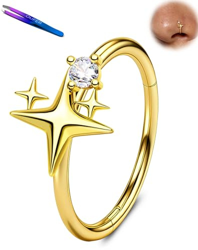 OUFER Body Piercing 20G Titanium Nose Rings Hoop Hypoallergenic Hinged Segment Ring Nostril Piercings 316L Surgical Steel Nose Lip Piercing Jewelry for Women Men