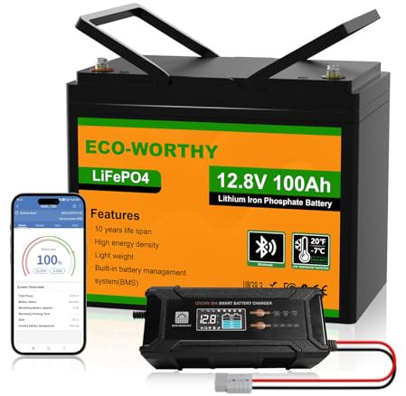 ECO-WORTHY Batterie Lithium 12V 100AH Bluetooth Batterie LiFePO4 12V avec Chargeur 12/24 V 20 A, Batterie Protection BMS Basse température pour Camping-Car, Bateau, Caravane