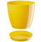 B2C Plant Pot Flower 20 Colours 9 sizes Gloss Plastic Plant Pots Planter Saucer Tray Deco (16 cm/ 6.3 inch, Yellow)