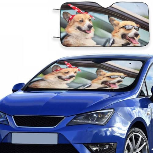 Parasol Delantero Rígido Personalizado para Coche – con Foto – Protección Solar con Aluminio de Burbujas – 130x70cm