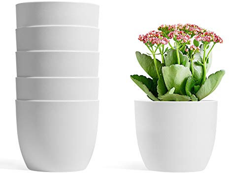 T4U 12CM Self Watering Planters Plastic White Set of 6, Modern Round Flower Pot Indoor Nursery Bonsai Plant Pot for Garden House Plants, Aloe, Herbs and More