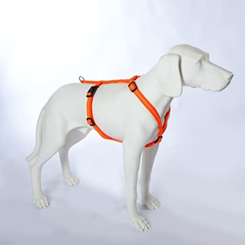 Feltmann Hundegeschirr Mantrailing/Suchgeschirr Basic -Laufgeschirr, Joggergeschirr - Super Soft, Neonorange, reflektierend, Bauchumfang 60-80 cm, 25 mm Bandbreite