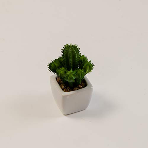 Pianta Artificiale succulenta Cactus con Vaso Falso Cactus Ufficio Home Garden Decor