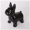 DONGYUCHUN Keramik Welpen Sparschwein, Nordic Style Home Sparschwein Kreative Desktop Ornamente, Kinder Erwachsene Geschenke,Schwarz