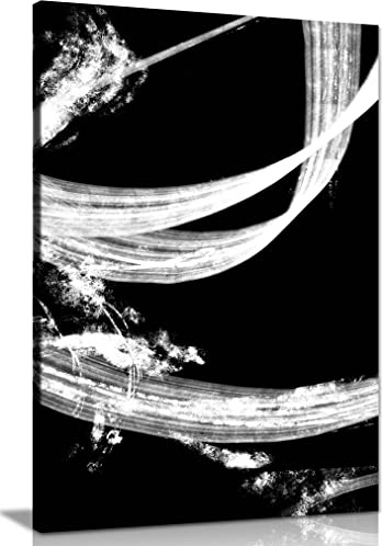 Panther Print Fine Art Prints Black & White Paint Colorsplash Artistic Framed Canvas Print, Pictures for Home Walls, Bedroom, Living Room & Bathroom Decor 46x31cm (18x12in)