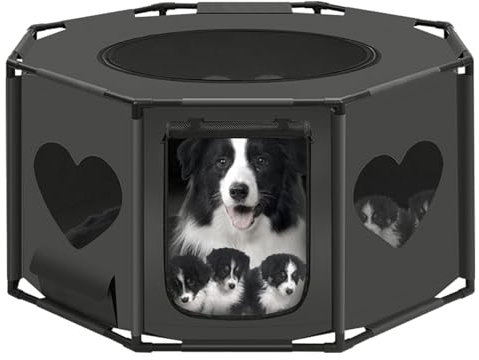 EUGAD Welpenauslauf 122x62x122 cm, Welpenlaufstall faltbar mit Dach Tür, Hundekäfig Tierauslauf für Outdoor Indoor, Laufstall für Hunde Katzen Kleintiere, Freilaufgehege aus Oxford-Gewebe, 0056WL
