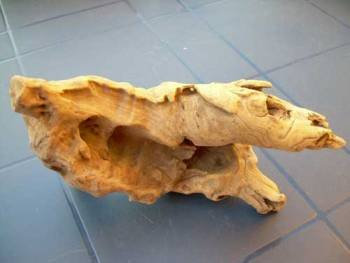 Mühlan Topartikel- Wurzel aus Opuwaholz ca. 10-20 cm, Opuwa