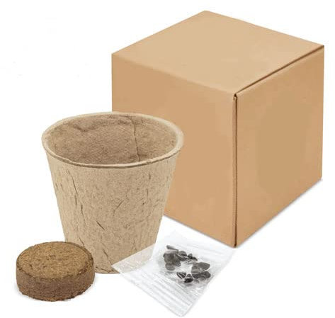 DISOK - Macetas Biodegradables con Semillas. Detalles ecológicos para bodas, regalos biodegradables boda, bautizos y comuniones. (Girasol)