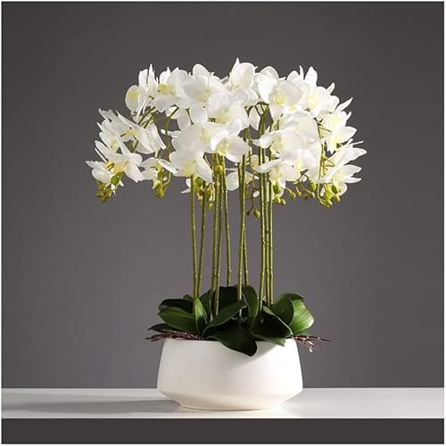 Kunstblume Kunststoff Künstliche Phalaenopsis Blumen Tischdeko Kunstblumen Deko 3/6/10 Kopf Orchideen Künstliche Bonsai Schöne Form