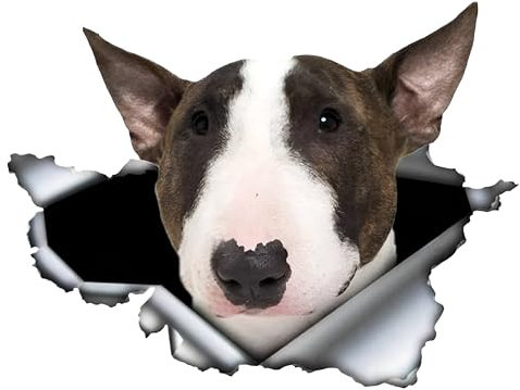 Autoaufkleber 22cm(8.7 Inch) Bullterrier Aufkleber Lustig 3D Zerrissen Autoaufkleber Bullterrier Reflektierende Auto Aufkleber Bull Terrier Car Sticker Haustier Hund Wasserdichte Dekor Aufkleber