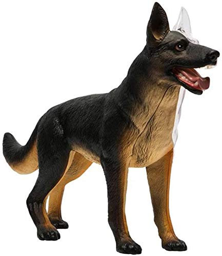 4D Vision-Hund Anatomie Modell, Wolf-Hund Skeleton Anatomy Versammlungs-Modell, 29 Stück abnehmbare Organe Körperteile für Medizinisches Training Montage Spielzeug