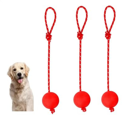 Changyeah 3 Palline Elastiche per Cani con Corda, in Gomma Naturale, Morbide ed Elastiche, per Cani Grandi e Piccoli