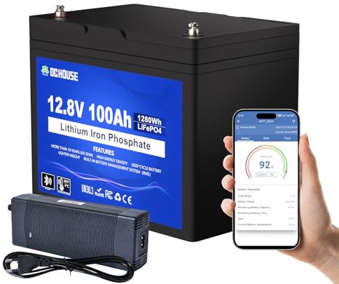 DCHOUSE 12V 100Ah LiFePO4 Bluetooth Batterie avec Chargeur 10A, Bluetooth et Coupure Basse température, BMS 100 A, idéale pour Les Moteurs de pêche à la traîne, la Marine, Solaire