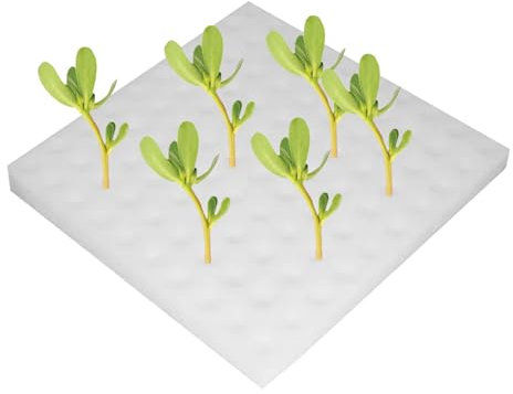 Sghtil Aerogarten Schwämme,Keimlingsschwämme für Hydroponik | Anzucht Keimhilfe Für Salat Tomaten Im Klassenraum Bildung Landwirtschaft Innen Außen