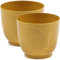 PECZEKO Lot de 2 pots de fleurs brillants - En plastique - Décoratifs pour grandes et petites plantes - Diamètre : 14 cm - Moutarde