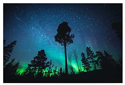 artboxONE Poster 120x80 cm Natur Nordlichtwald - Bild nordlichter astrofotografie Aurora Borealis
