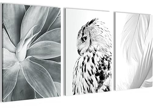 Novart Bilder Set Natur Eule - Kein Extra Rahmen benötigt - Wandbilder für Wohnzimmer Schlafzimmer - 3 Teilig Deko Schwarz Weiss - N023836a