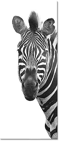 Pixxprint Glasbild Panorama, Wandbild aus Echtglas, Zebra im Portrait, 120x50 cm, inkl. Aufhängung und Abstandshalter