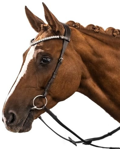 BRIDLERY Trense Leave Farbe Braun, Größe Warmblut