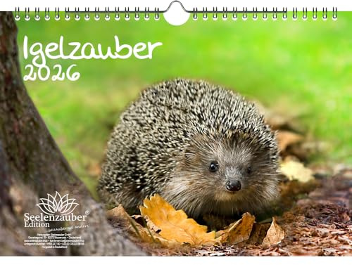 Igelzauber DIN A4 Kalender für 2026 Igel - Seelenzauber