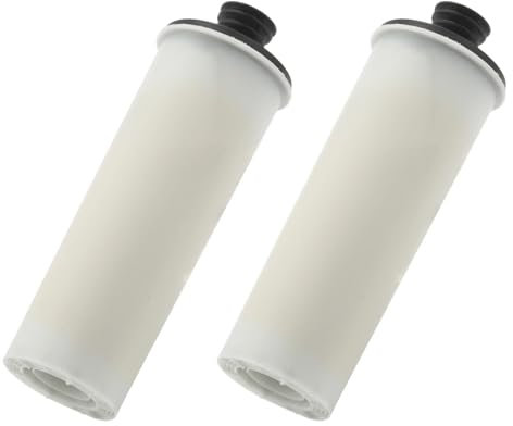 DGCYAYTE Steam Cleaner Water Purifier Descaling Cartridge ，Compatible For Karcher ，SC2 SC3 Clean Water Descaling Filter Premium Upright 2PCS