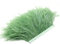 ROSENICE Plumas de avestruz hechas a mano Franja Ajuste para coser manualidades decoración 2M (Verde oliva)
