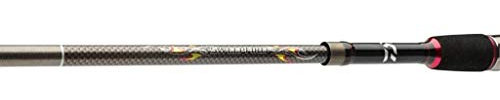 Daiwa Sweepfire Tele 2.70m 10-30g