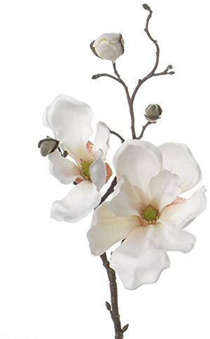 artplants.de Deko Zweig Magnolien Zweig MALBINE, 2 Blüten, Creme, 50cm - Deko Zweig - Kunstzweig