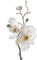 artplants.de Rama sintética de Magnolia MALBINE, Crema, 50cm, Ø6-10cm - Rama Artificial - Magnolia de plástico
