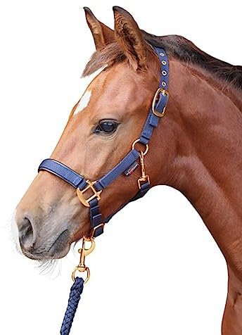 Kerbl Halfter Topline, Navy, Cob, 3224612