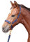 Kerbl Halfter Topline, Navy, Cob, 3224612