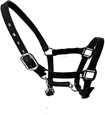 tooloflife Halfter für Fohlen, Pony, Esel, gepolstert, Nylon, groß, verstellbar, Schwarz