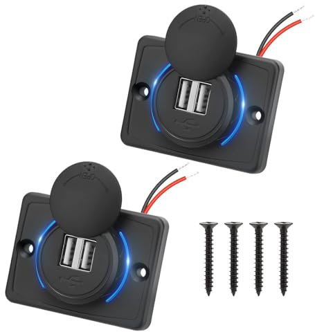 Alrens - Toma de Cargador Coche Electrico (2 unidades, doble USB, 4,8 A, con interruptor, 12 V/24 V, panel de USB, mando de doble puerto, cargador USB de coche, para coche, marina, autocaravana, SUV