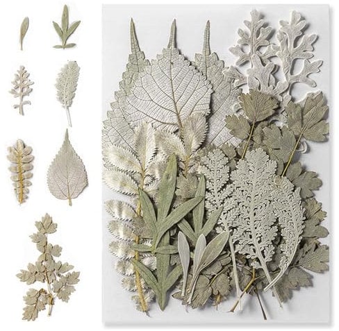Premium Getrocknete und Gepresste Blätter,Getrocknete Blumen in Silber,Echte Natürliche Trockene Blätter,Natürlich, Authentisch, Vielseitig,Ideal für DIY-Kreativprojekte,Packung mit 21 Teilen